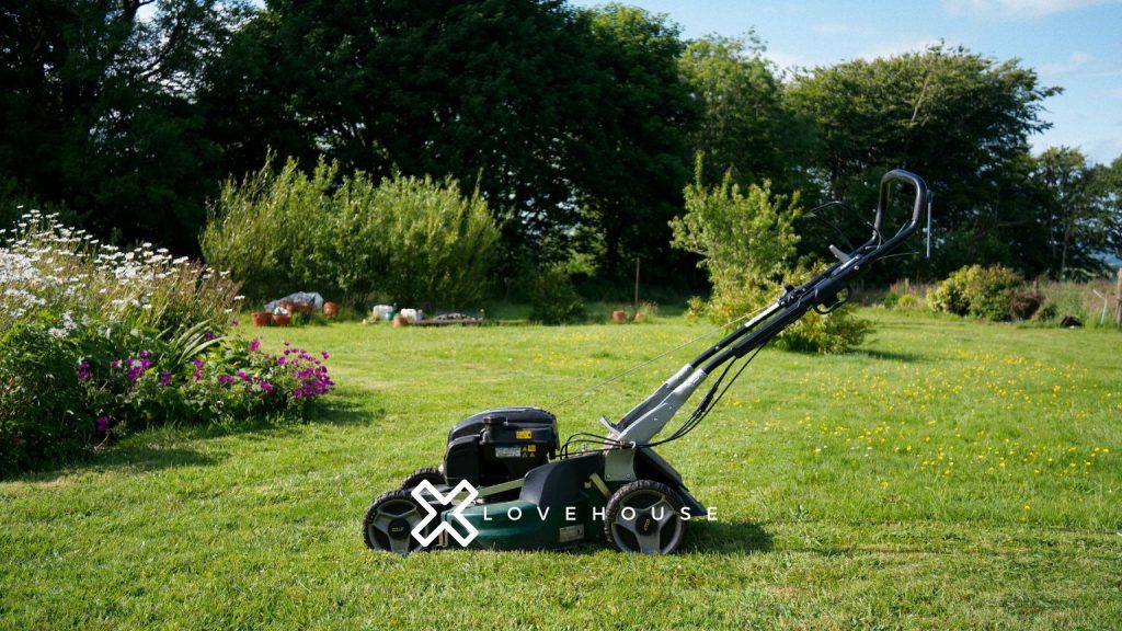 Jaką kosiarkę wybrać spalinową czy elektryczną?